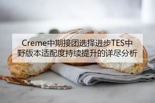 Creme中期接团选择进步TES中野版本适配度持续提升的详尽分析（Kaiyun FIFA WorldCup）