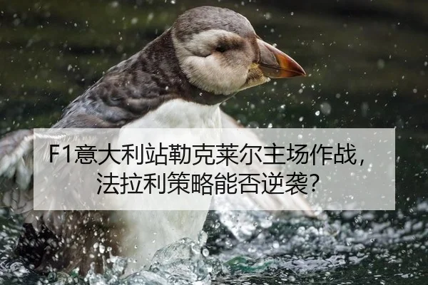 yi-da-li-zhan-lei-ke-lai-er-zhu-chang-zuo-zhan-fa-la-li-ce-lve-neng-fou-ni-xi-3-923.jpg