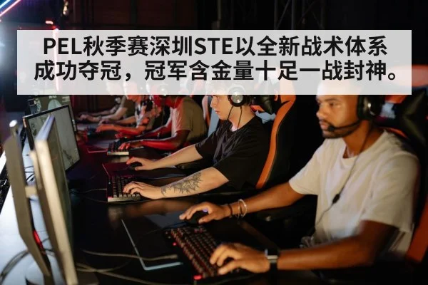 PEL秋季赛深圳STE以全新战术体系成功夺冠，冠军含金量十足一战封神。